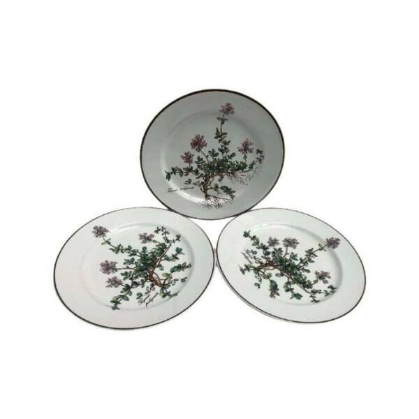 3 Botanica Vintage Villeroy And Boch Salad Dish Plate 7.5 Botanica