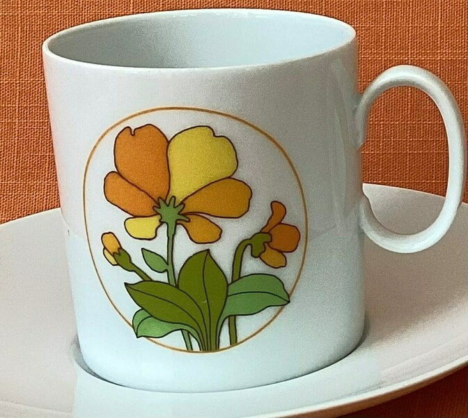 1970s Thomas Germany Coffee Cups And Saucers In The 