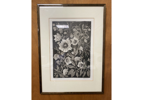 Botanical Limited Edition 1/50 Framed Print Marion Trim Hellebores
