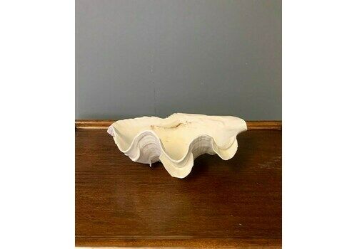 Clam Shell/Dish, 21st Century, Contemporary