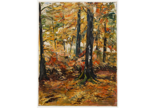 M. Steurs  Contemporary Oil, Autumn Forest