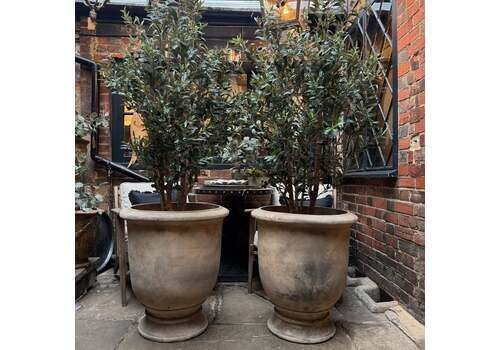 A Pair Of Frost Resistant Terracotta Pots