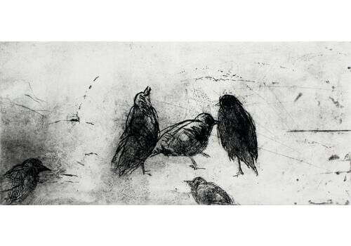 Anna Mikkebirds   Xxi Century, Figurative Print, Black And White, Animals2009