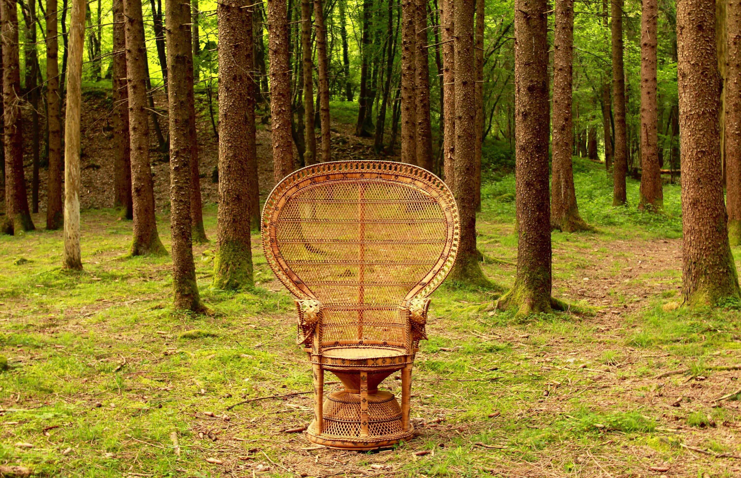 Emmanuelle, Original Vintage Peacock Chair, Italy, 1970s Vinterior