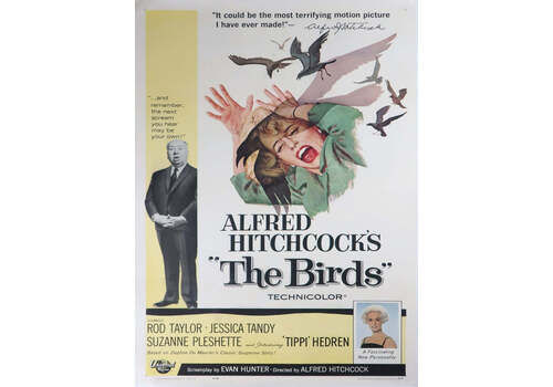 The Birds" Original Vintage Poster"