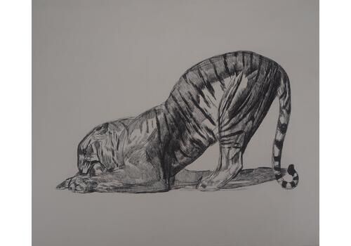 Tiger Eating   Original Etching (Marcilhac #370)