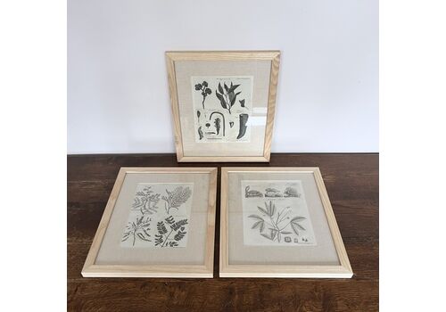 Framed Prints