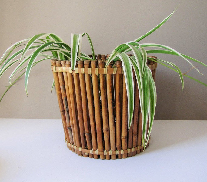 Tortoise Bamboo Planter Vintage Bamboo Cane Indoor Plant Pot Boho Interior Vinterior