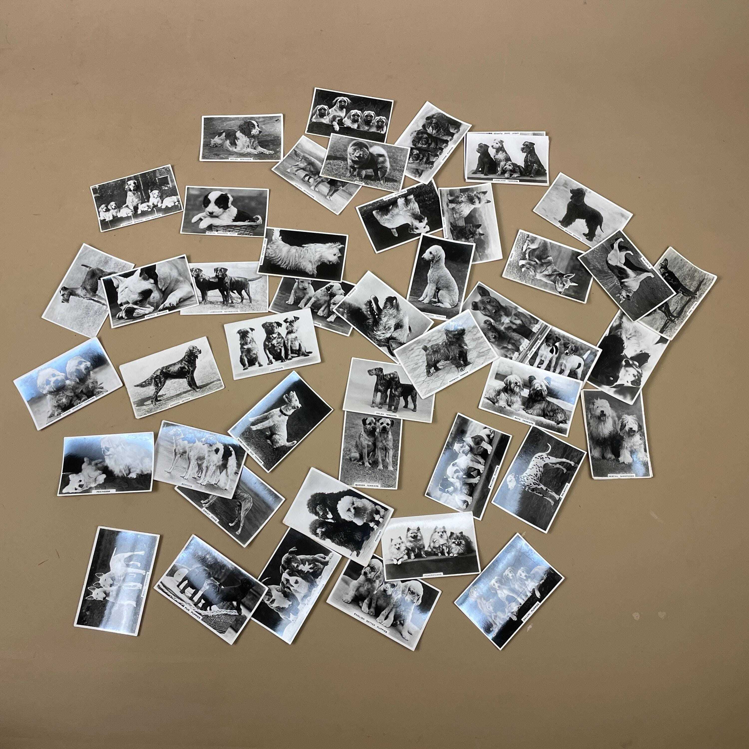 Vintage Dog Cigarette Cards Senior Service Lot Black White Collectible Set  British Dog Breed Cards Paper Ephemera For Collectors