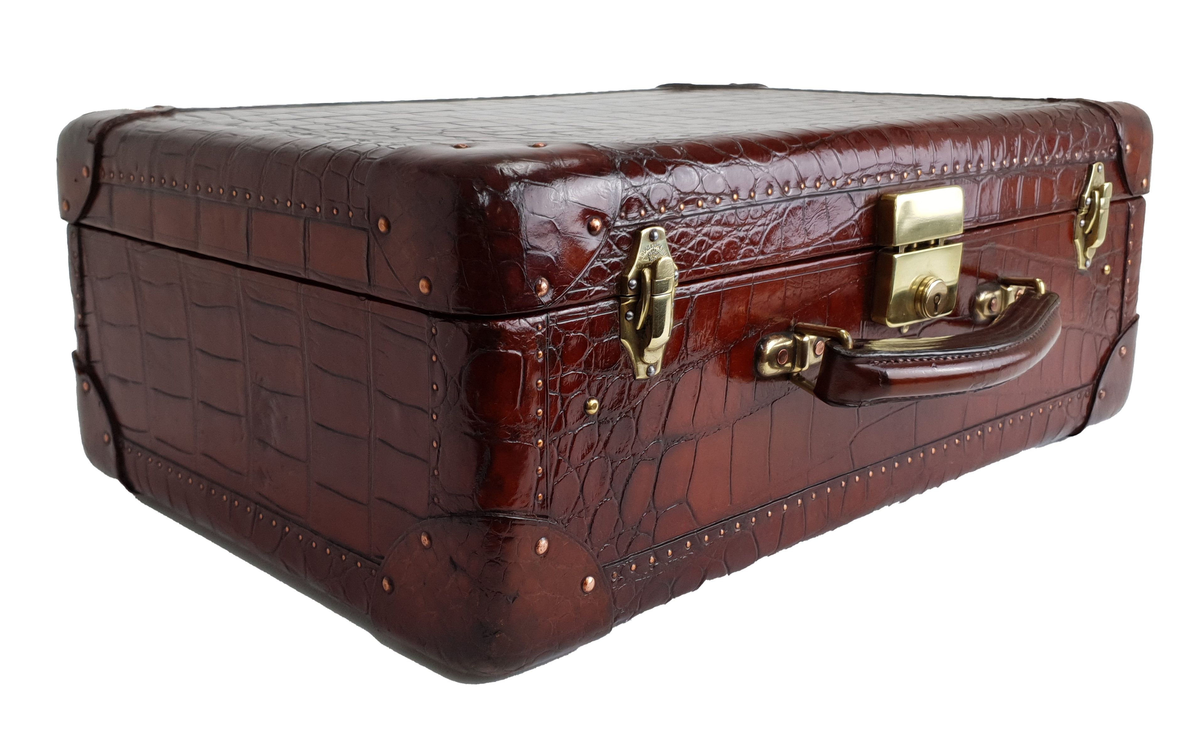 crocodile skin luggage