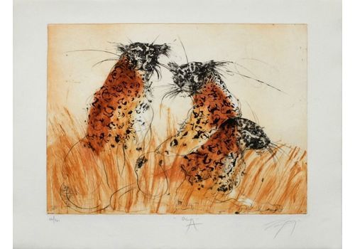Jean Marie Guiny Panthers