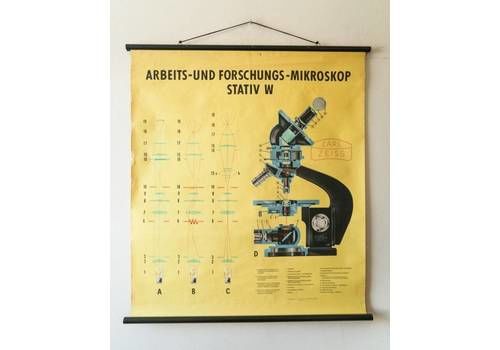 Original Scientific Technical Vintage German School Wall Chart Carl Zeiss Microscope Industrial Rare Eductional